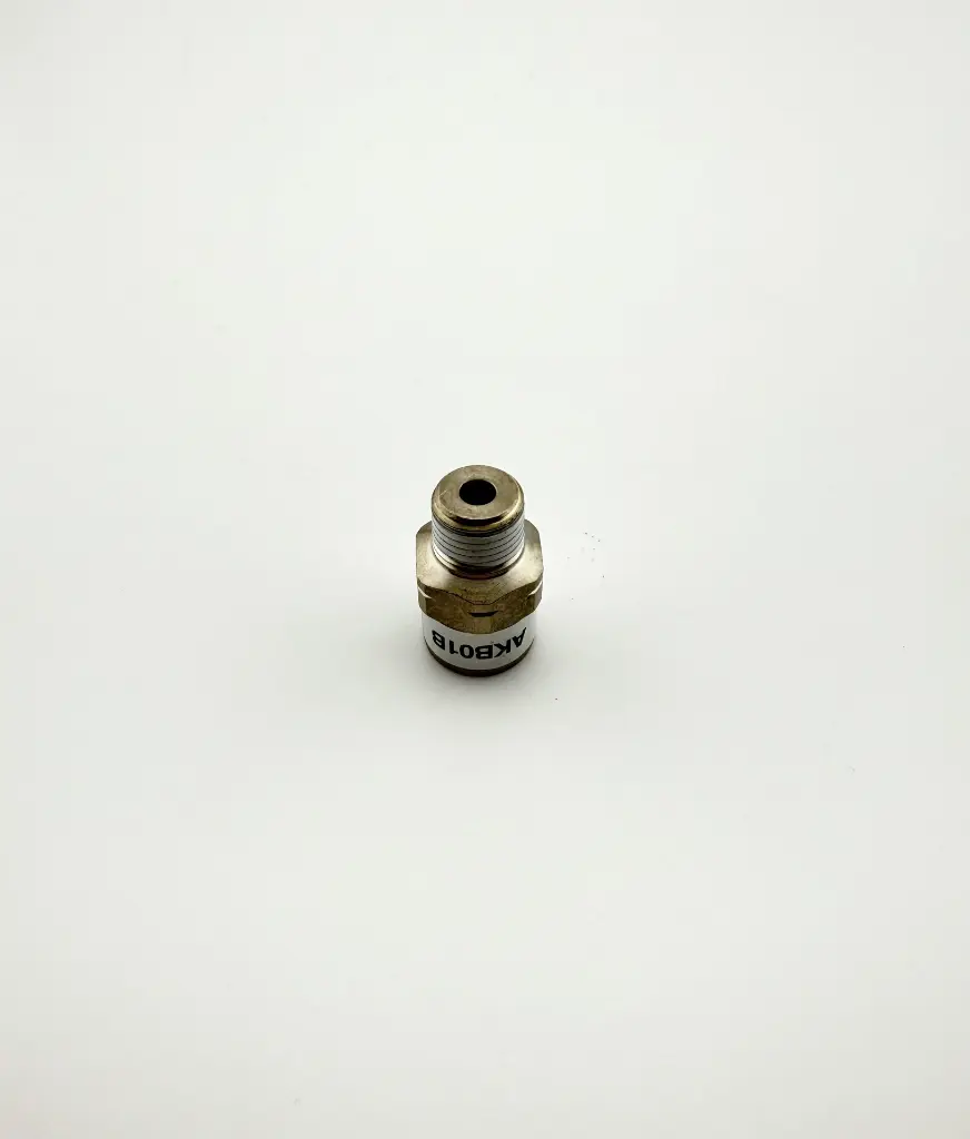 Check Valve 1.8 NPT.3.webp