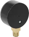 Ashcroft Pressure Gague.3.webp