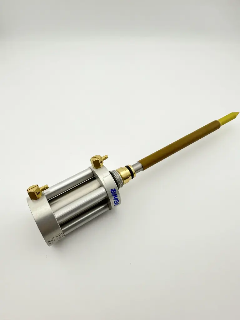 EP stem side B.webp