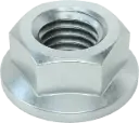 Steel Flange Nuts (10)