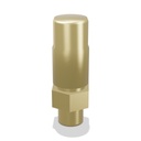 Cryogenic Relief Valve, 1/4" MNPT, 300 PSI (Generant)