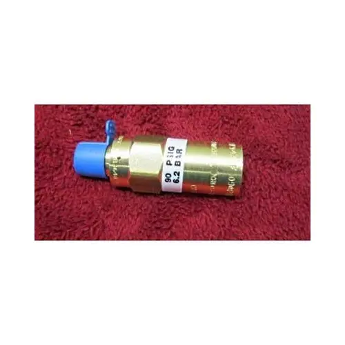 [182222] RV BRS 1/4MPT 22PSI