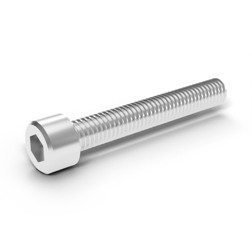 [136.40] Socket Head Cap Screw, M6 x 1.0 x 40 mm, 316 SS