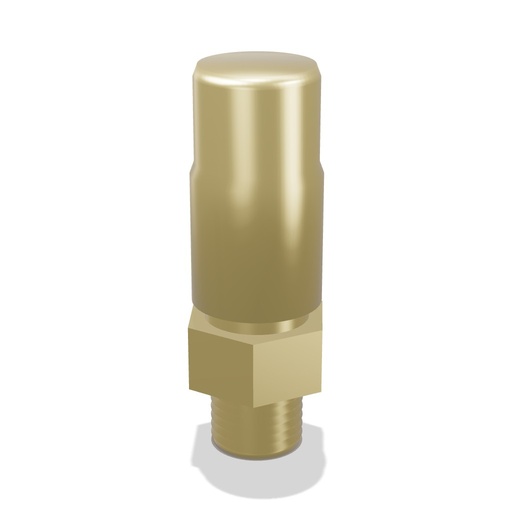 [31822] Cryogenic Relief Valve, 1/4" MNPT, 300 PSI (Generant)